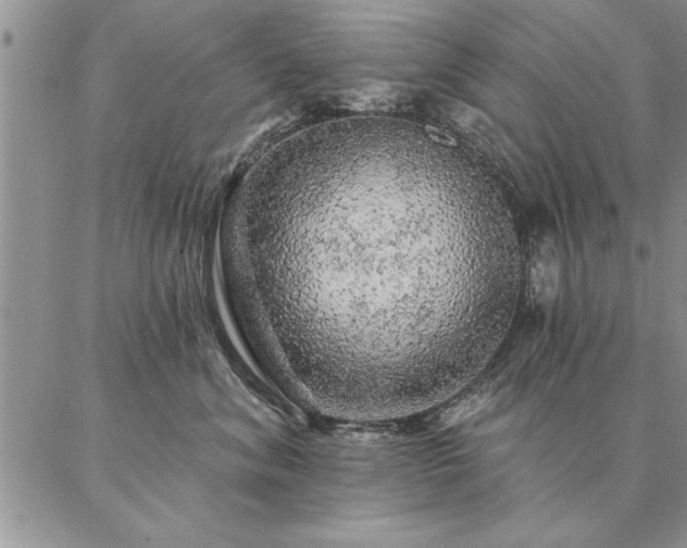 X0000087380620200704271559