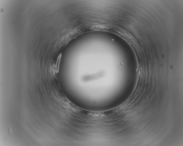 X0000087380621200704271559