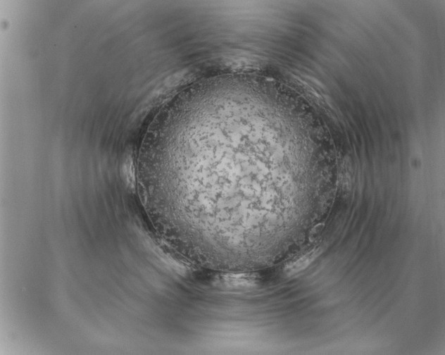 X0000087380622200704271559