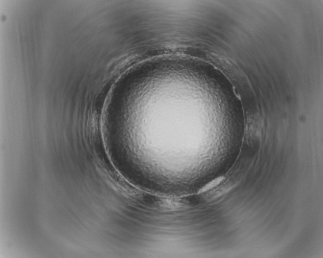 X0000087380623200704271559