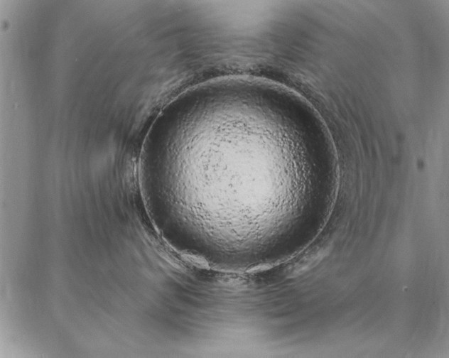 X0000087380624200704271559