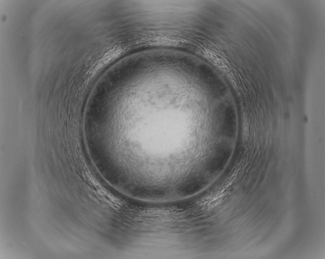 X0000087380625200704271558