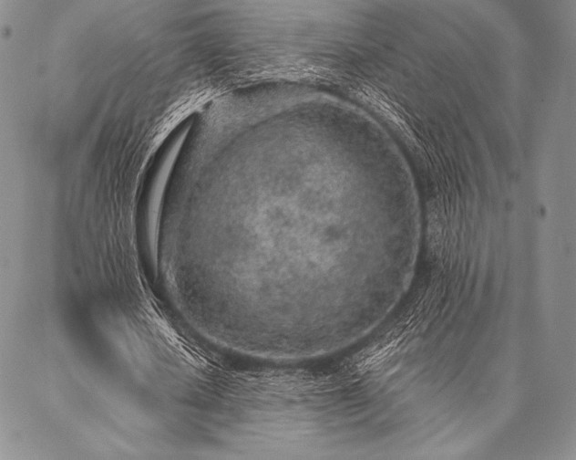 X0000087380626200704271558