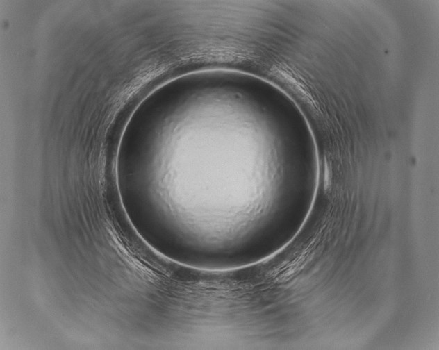 X0000087380627200704271558