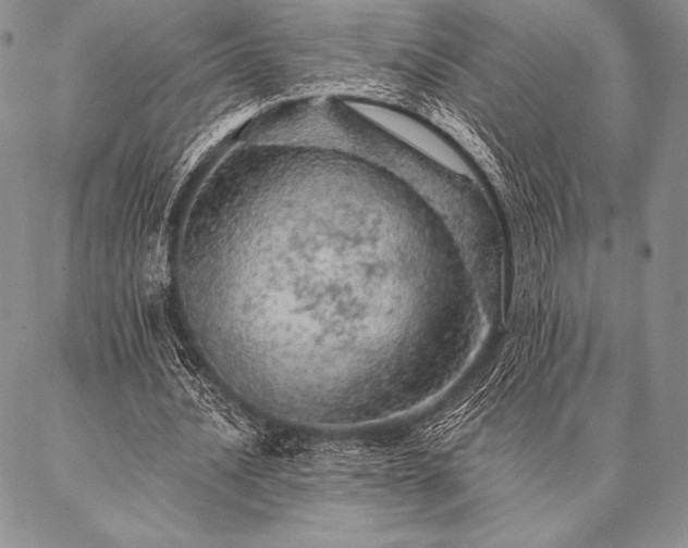 X0000087380628200704271558