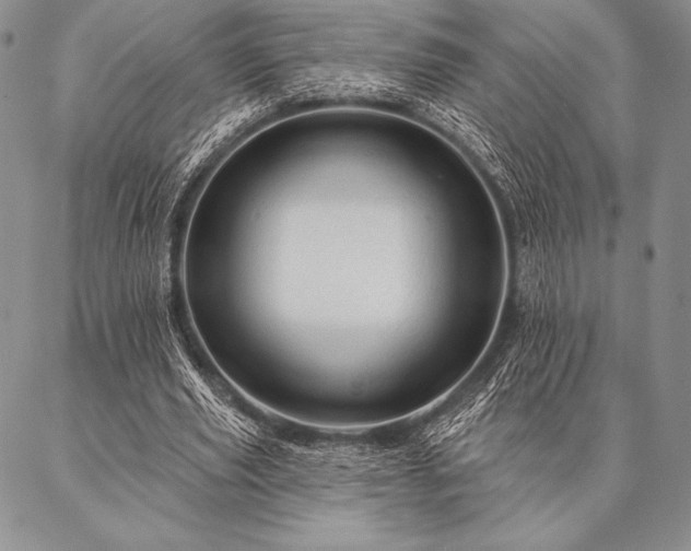 X0000087380629200704271558