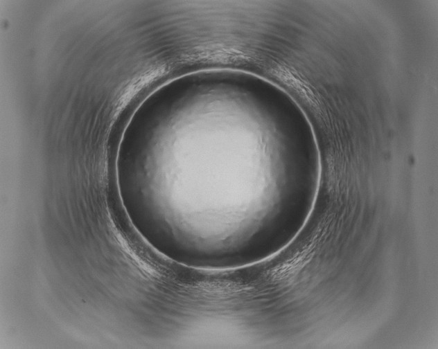 X0000087380630200704271558