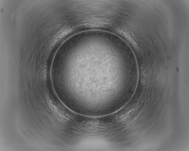 X0000087380631200704271558