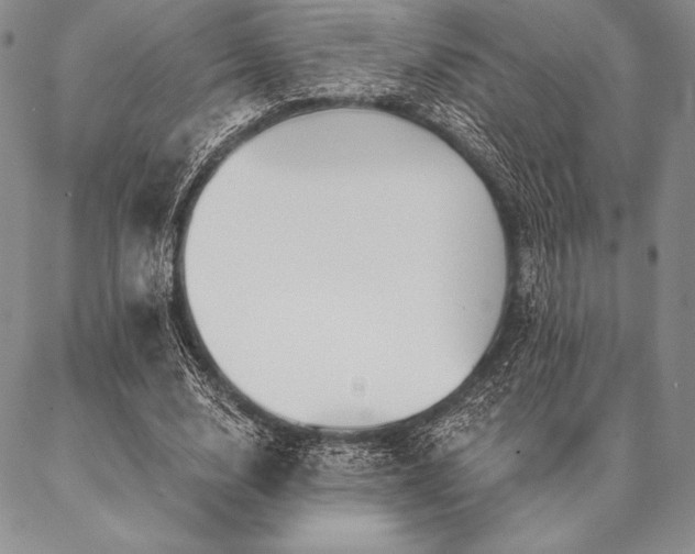 X0000087380632200704271558