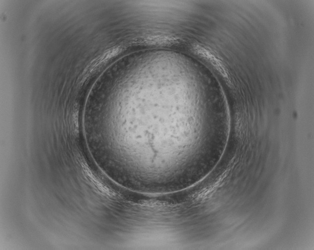 X0000087380633200704271558