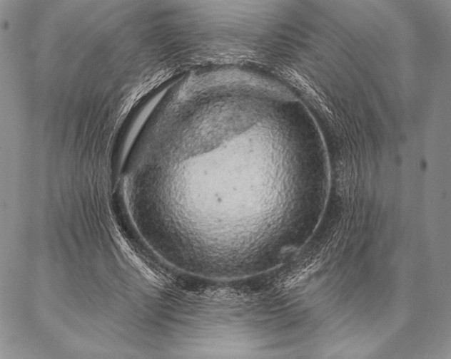 X0000087380634200704271558