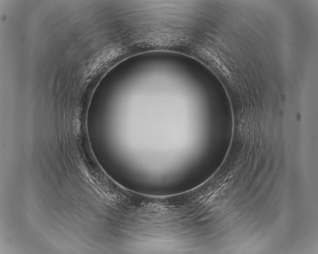 X0000087380635200704271558