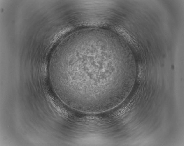 X0000087380636200704271558