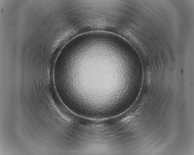 X0000087380638200704271558