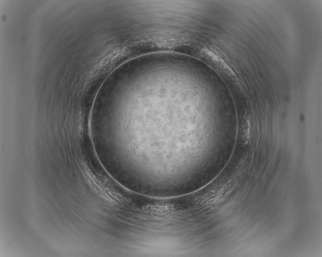 X0000087380639200704271558