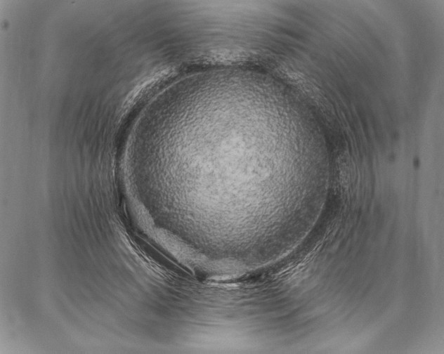 X0000087380640200704271558