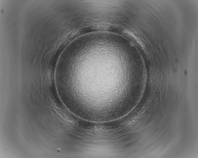 X0000087380641200704271558