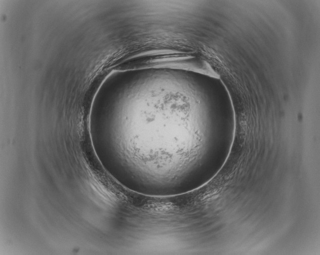 X0000087380642200704271558