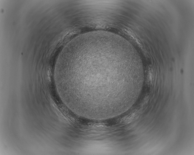 X0000087380643200704271558