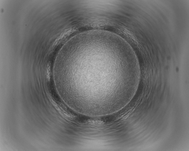 X0000087380644200704271558