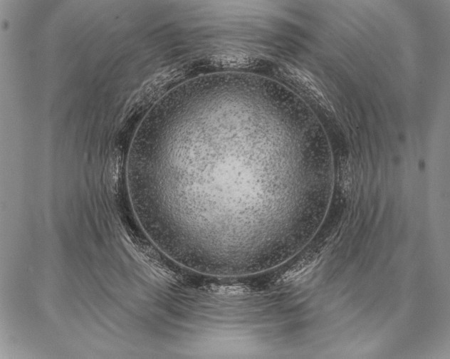 X0000087380645200704271558