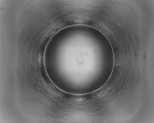 X0000087380646200704271558