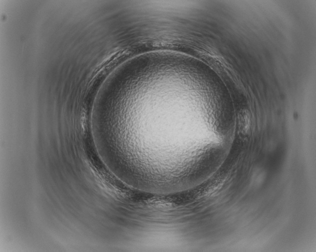 X0000087380648200704271558