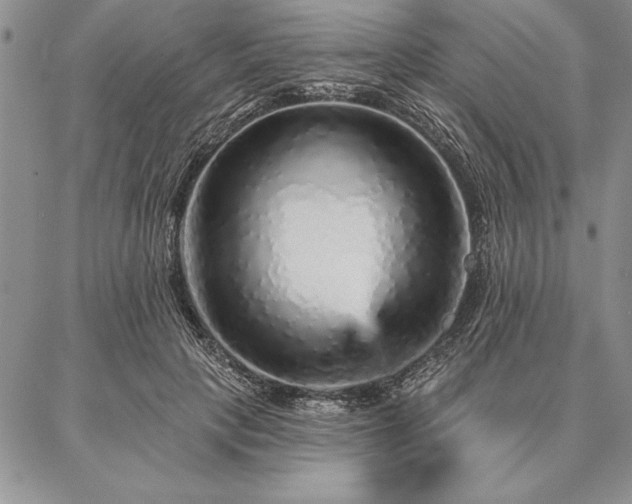 X0000087380649200704271558