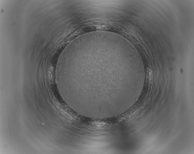 X0000087380650200704271558