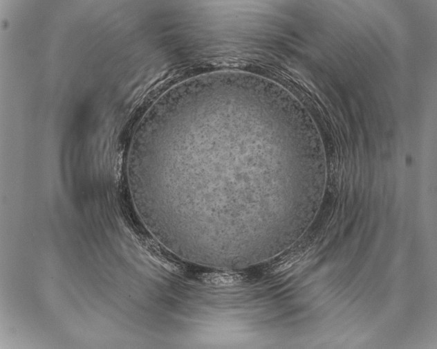 X0000087380652200704271558