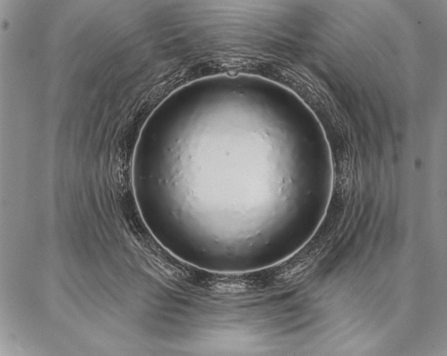 X0000087380653200704271558