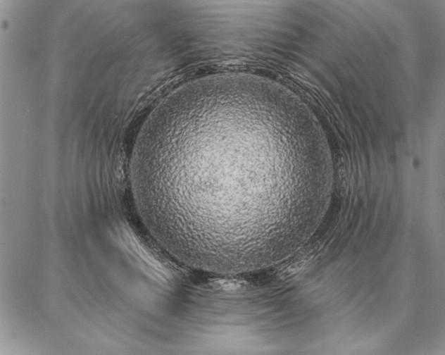 X0000087380654200704271558