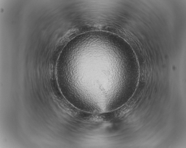 X0000087380656200704271558