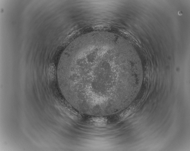 X0000087380659200704271558