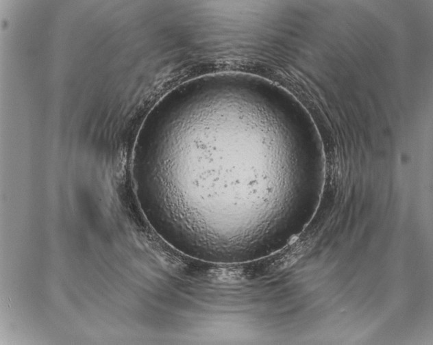 X0000087380660200704271558