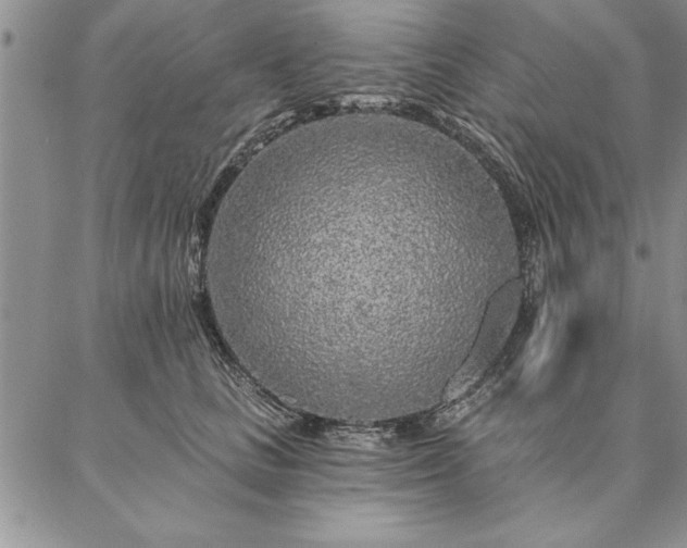 X0000087380661200704271558