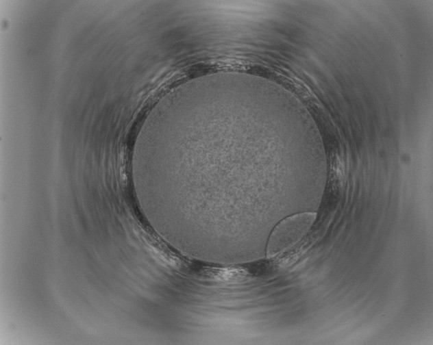 X0000087380663200704271558