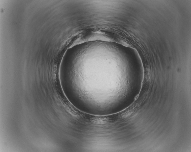 X0000087380664200704271558