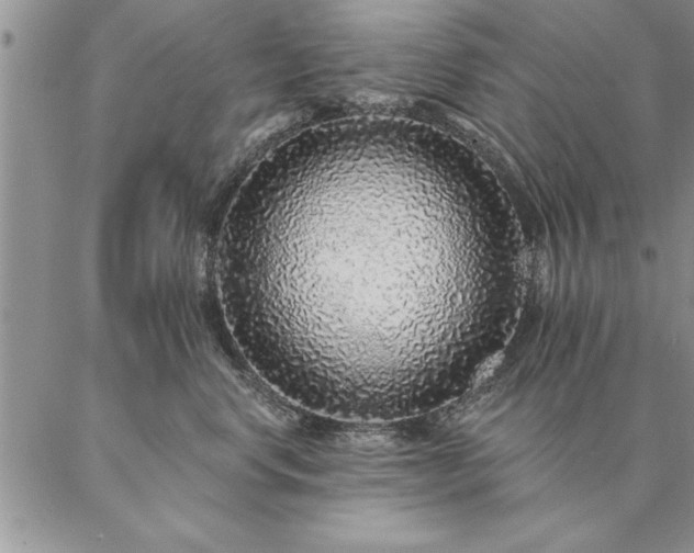 X0000087380668200704271559