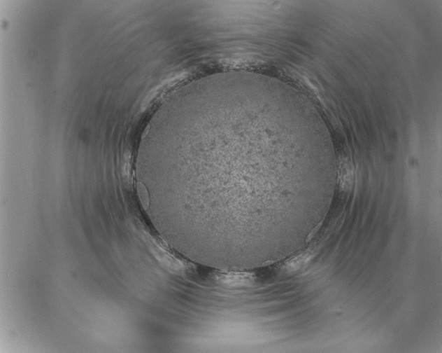 X0000087380670200704271559