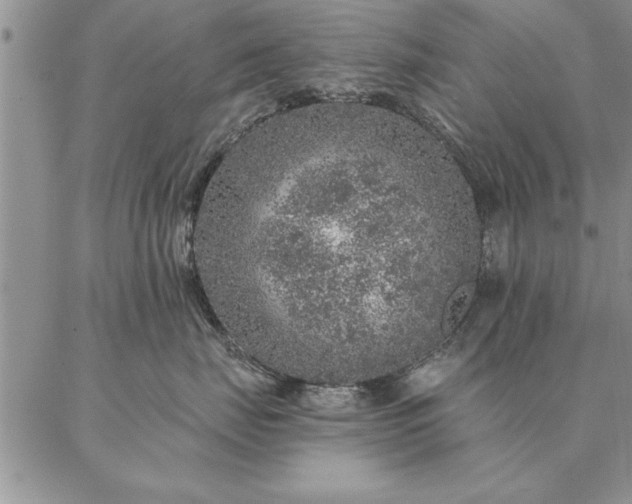 X0000087380671200704271559