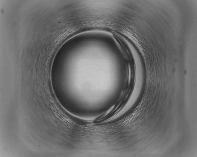 X0000087380673200704271558