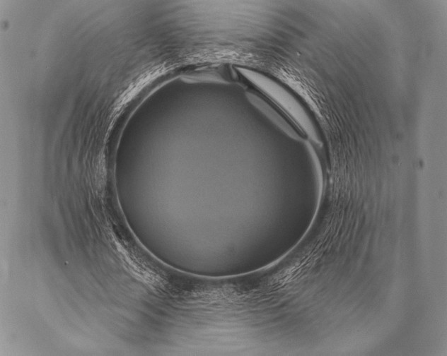 X0000087380674200704271558