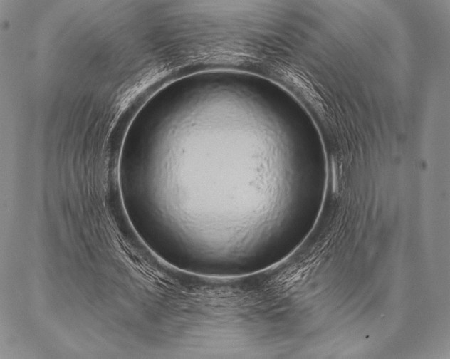 X0000087380675200704271558