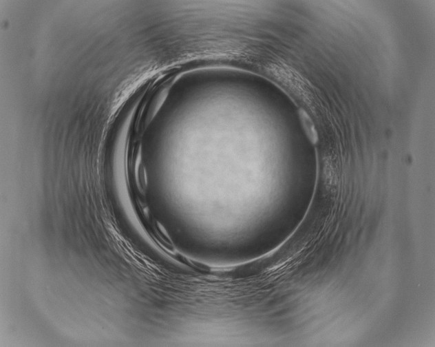 X0000087380676200704271558