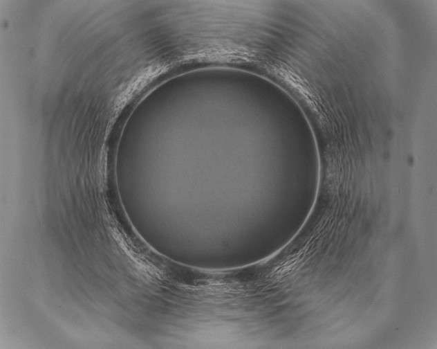 X0000087380678200704271558