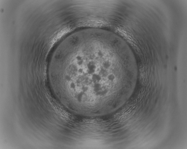 X0000087380679200704271558