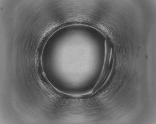 X0000087380680200704271558