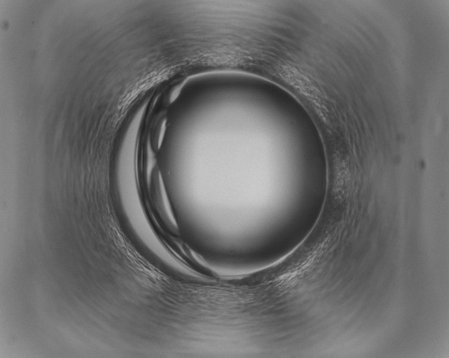 X0000087380681200704271558