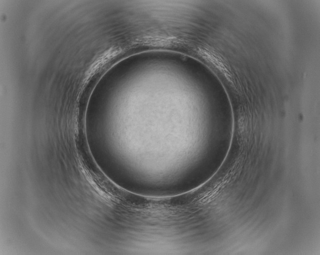 X0000087380682200704271558